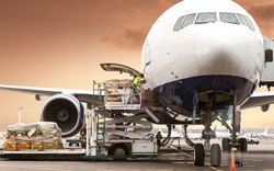 50kgs Plus Worldwide Air Cargo Service In Delhi, Is It Mobile Access: Mobile Access